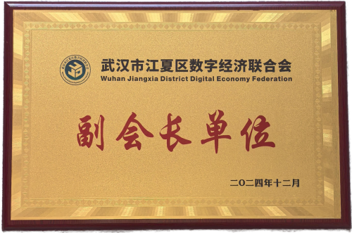 武汉龙媒荣膺江夏区数字经济联合会副会长单位，以网络产品研发与运营赋能区域数字经济发展